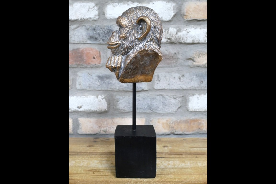Monkey Head