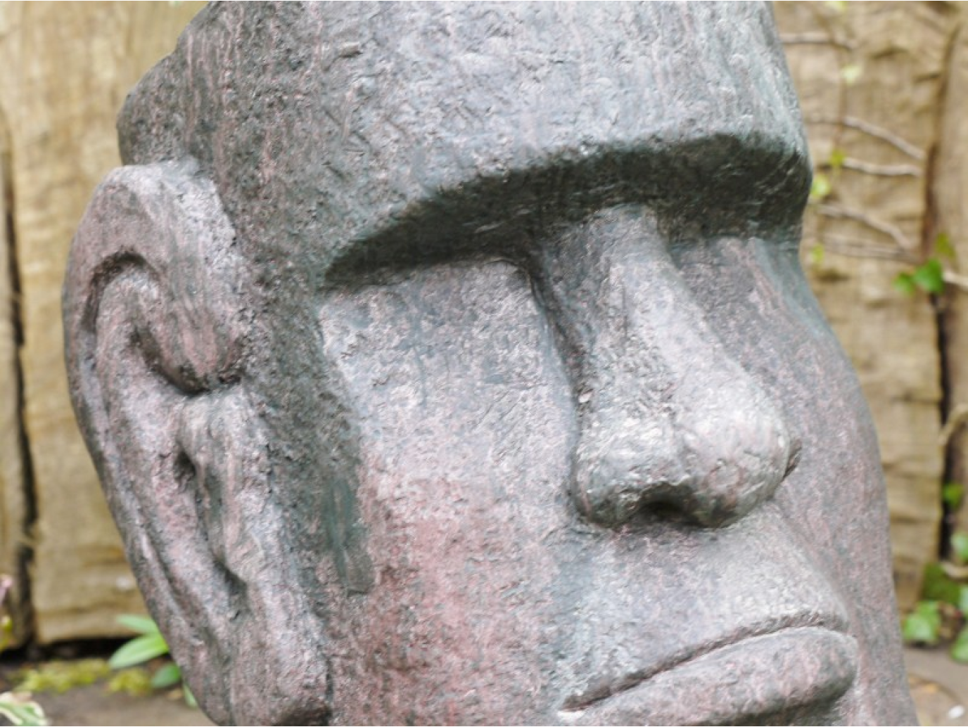 Easter Island Head