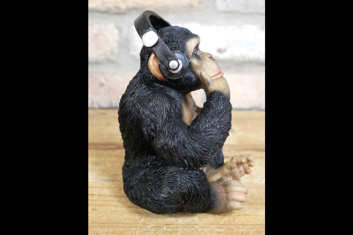 Monkey With Headphones