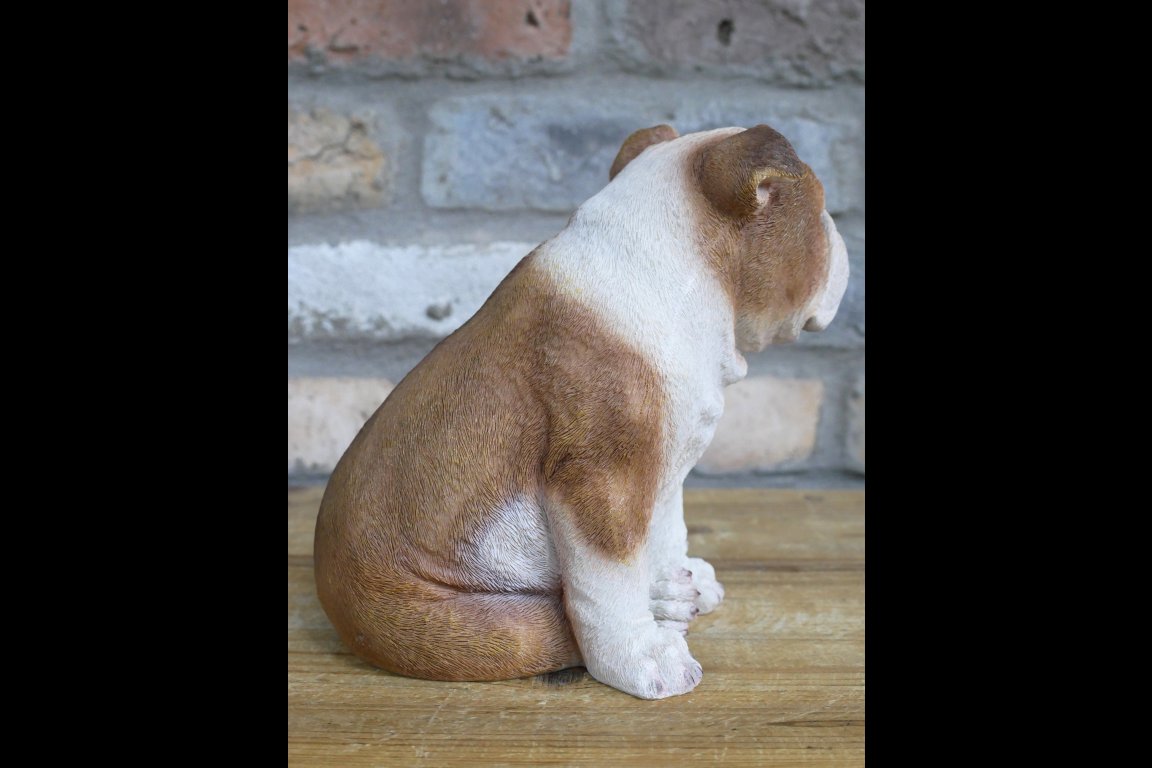 Bulldog