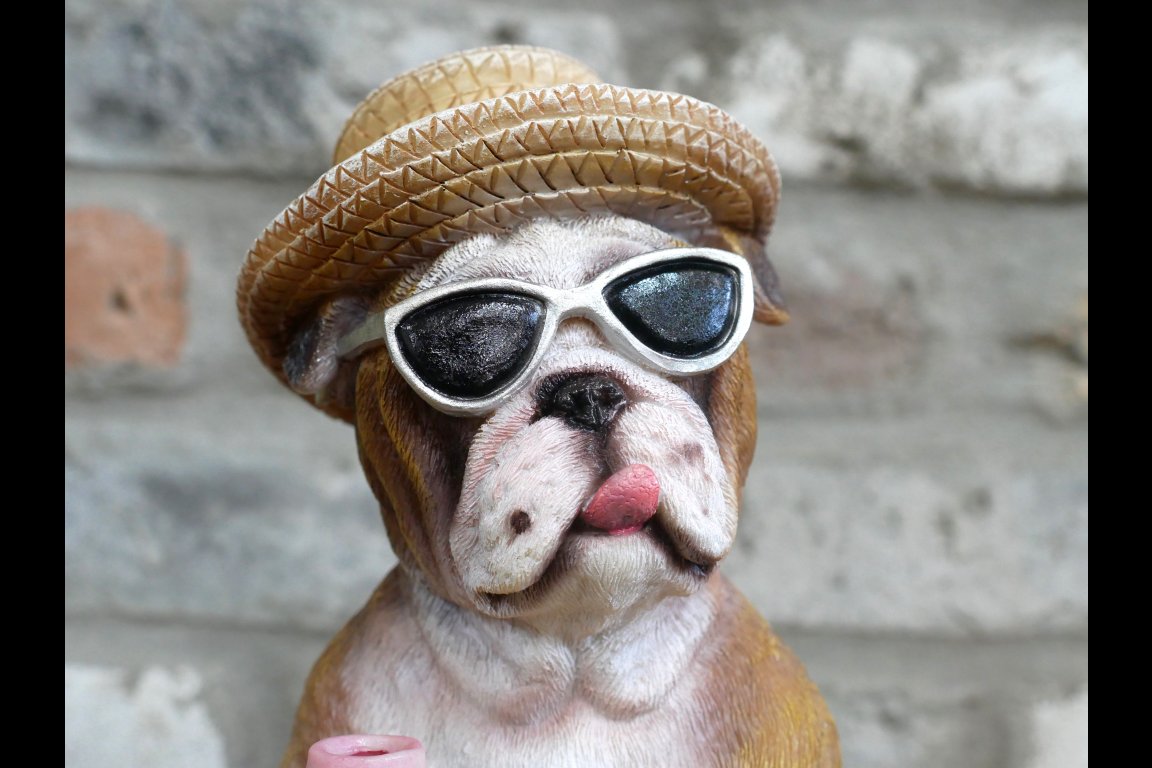 Holiday Bulldog