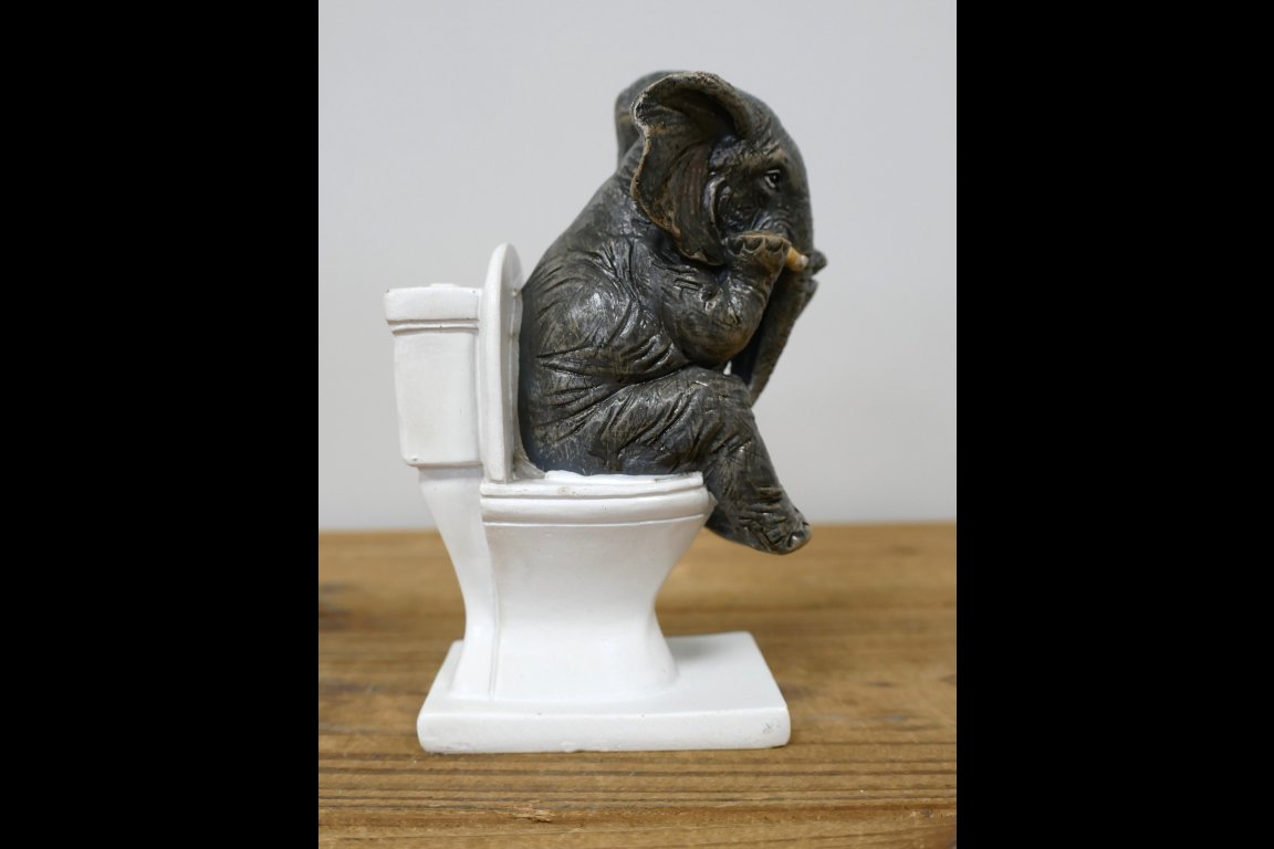 Elephant On The Loo