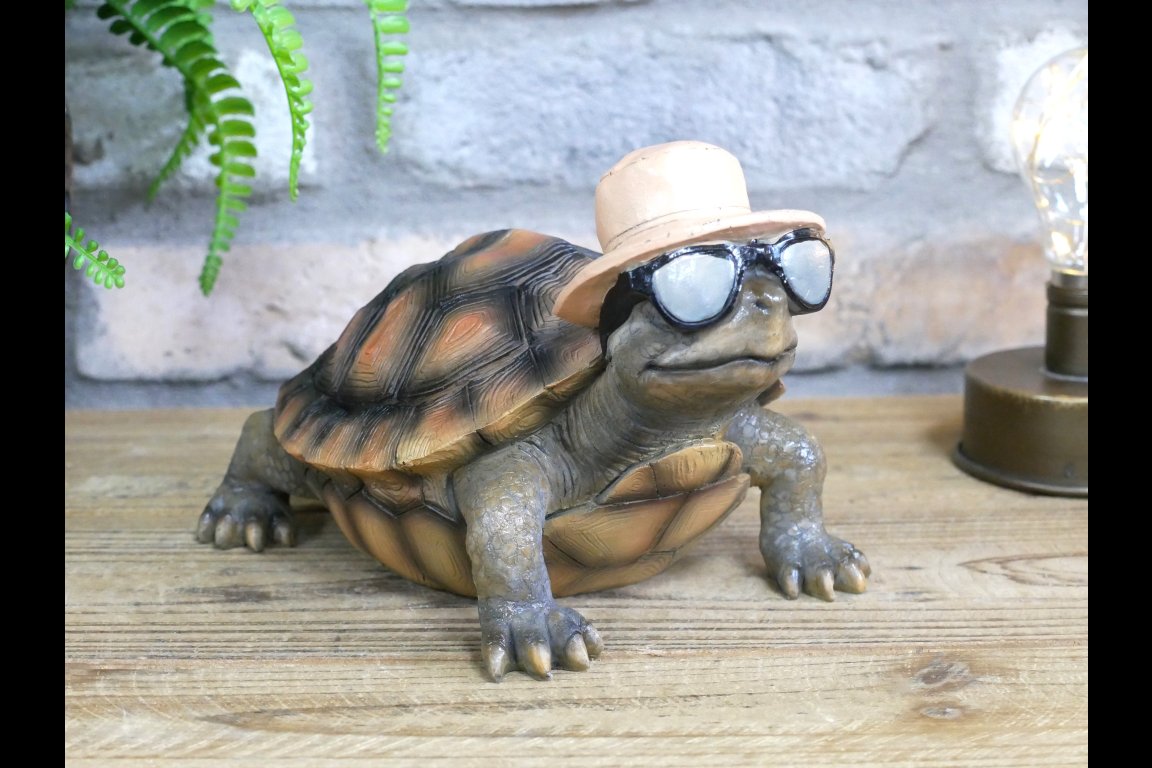 Holiday Tortoise