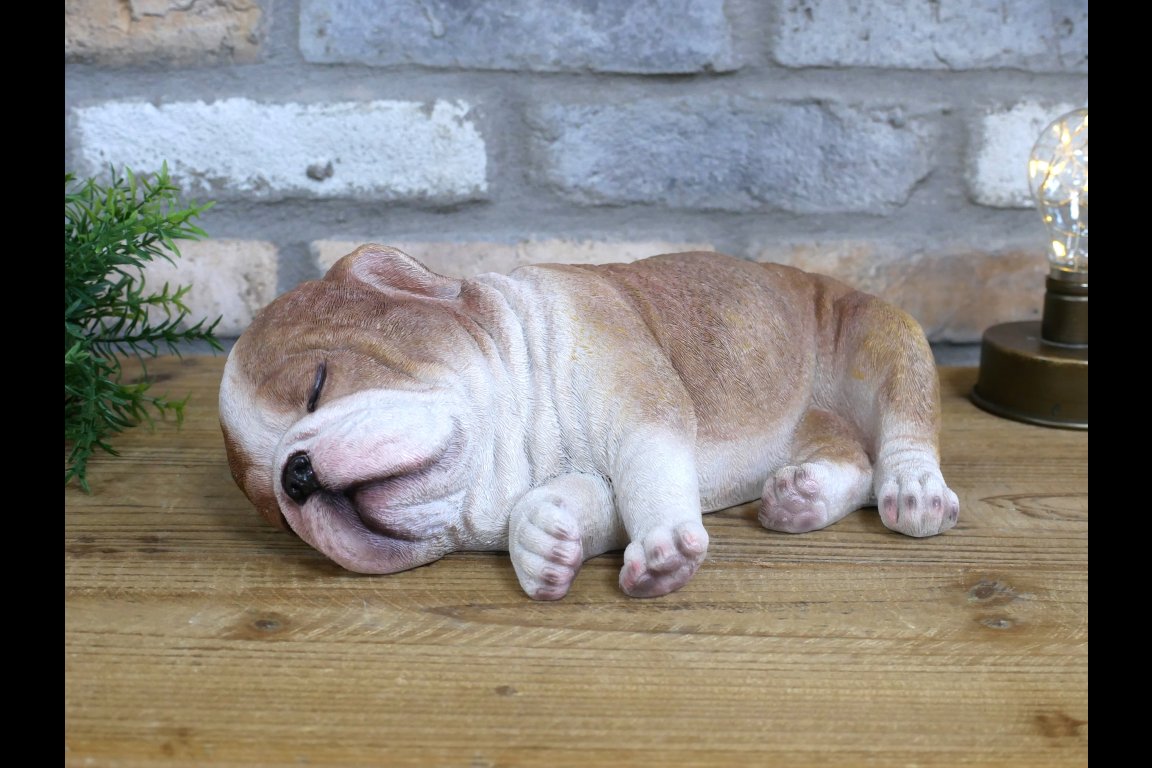 Sleeping Bulldog