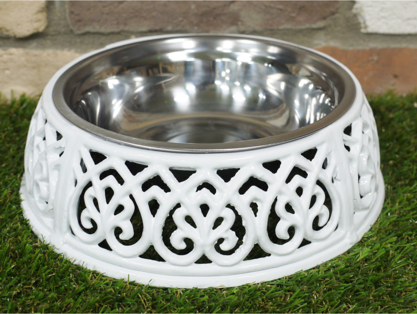 Dog Dish