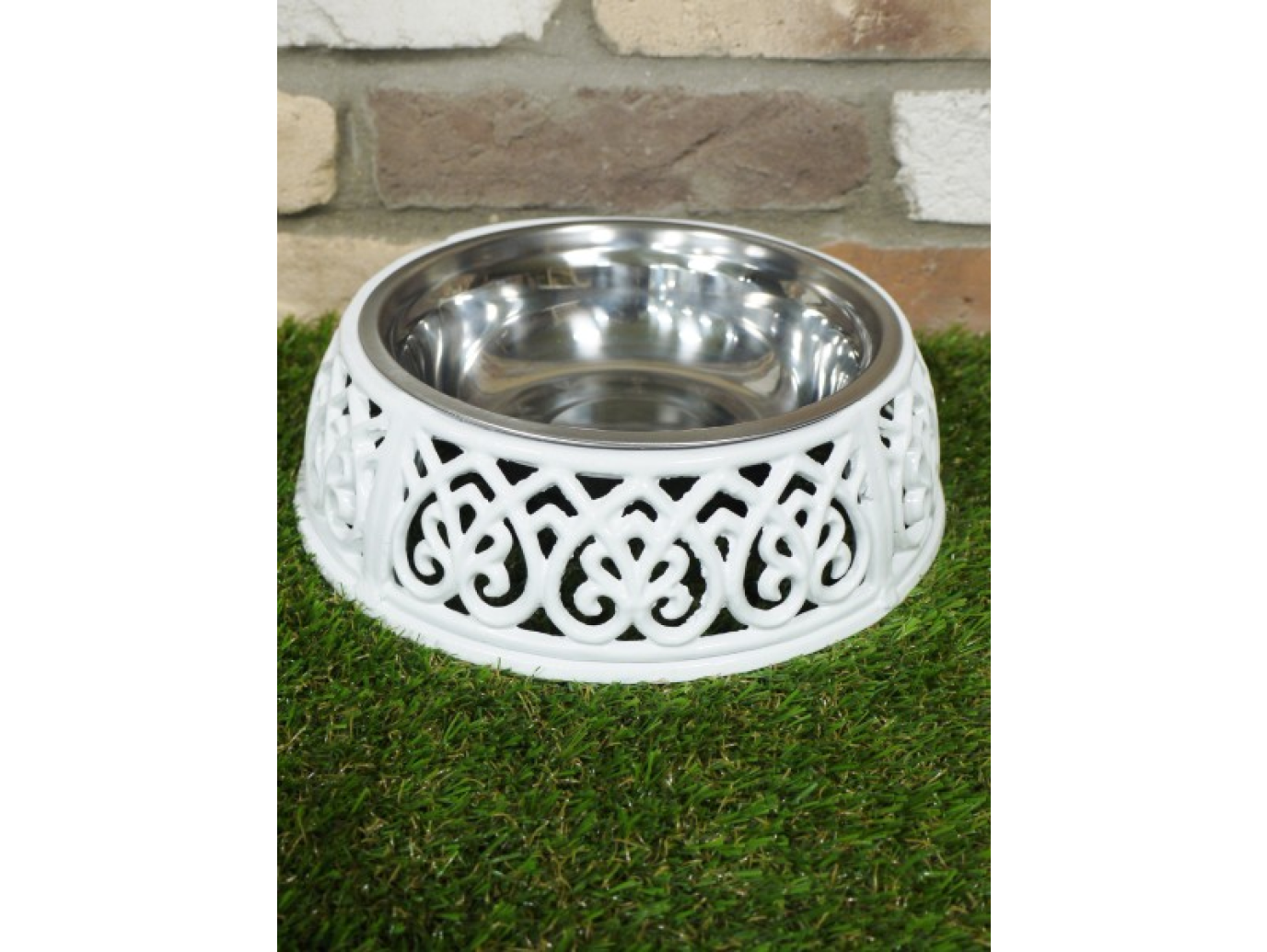 Dog Dish