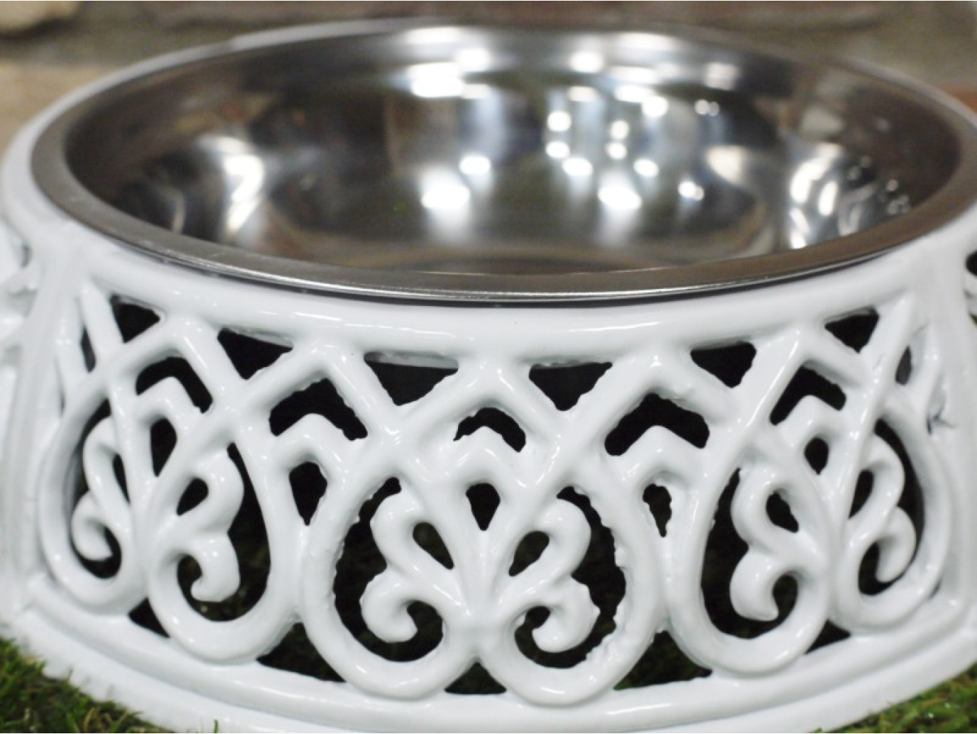 Dog Dish