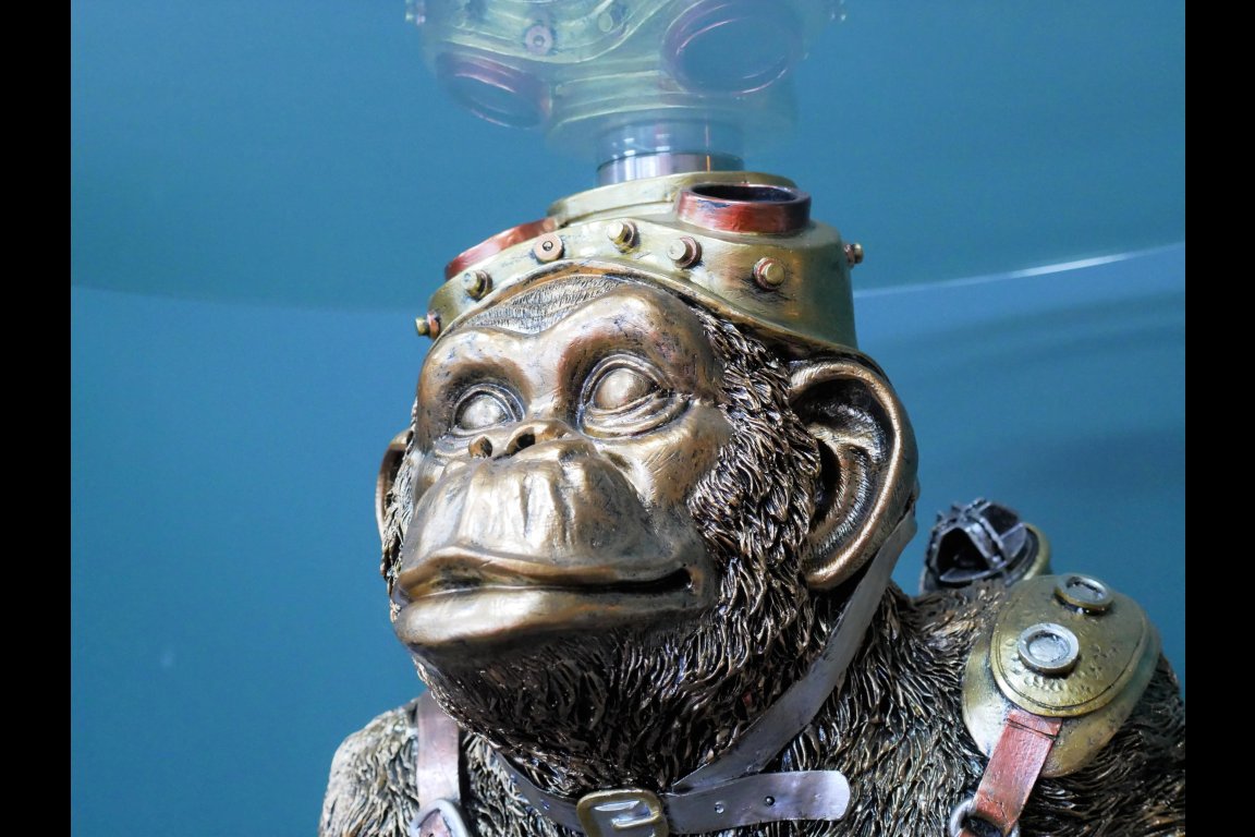 Monkey Table