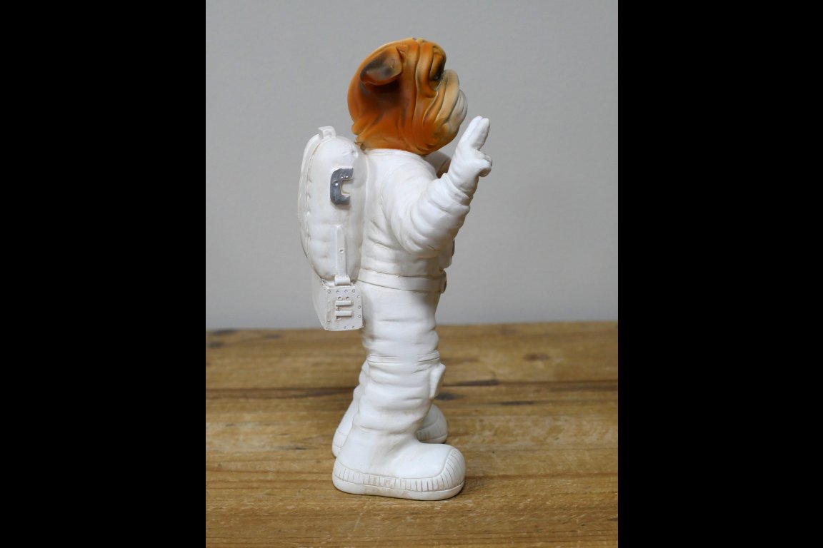 Elon Woof Spaceman