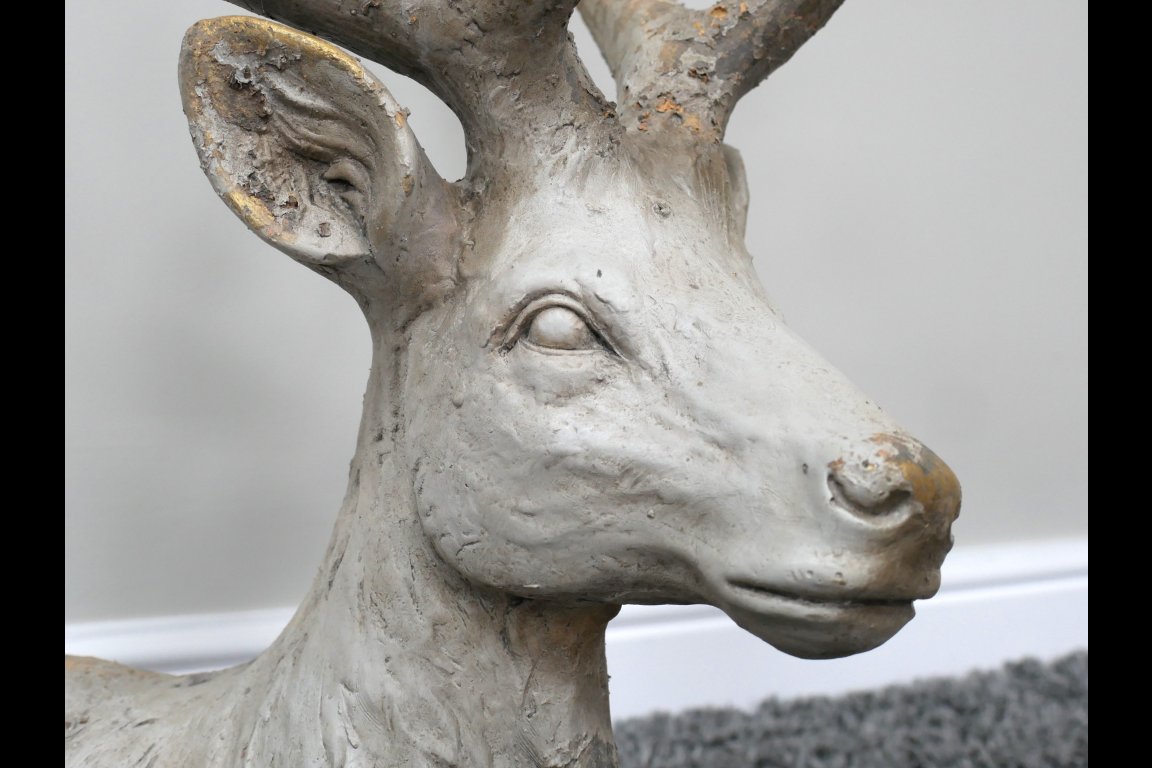 Laying Stag