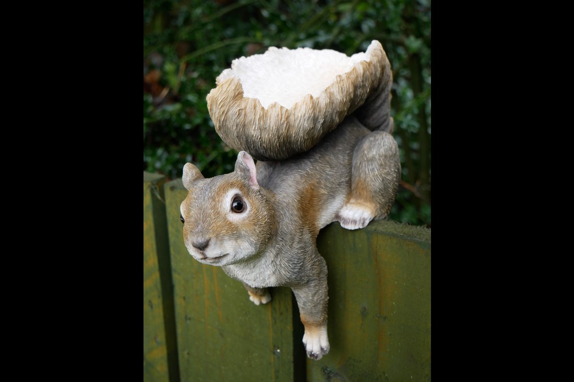 Squirrel Feeder