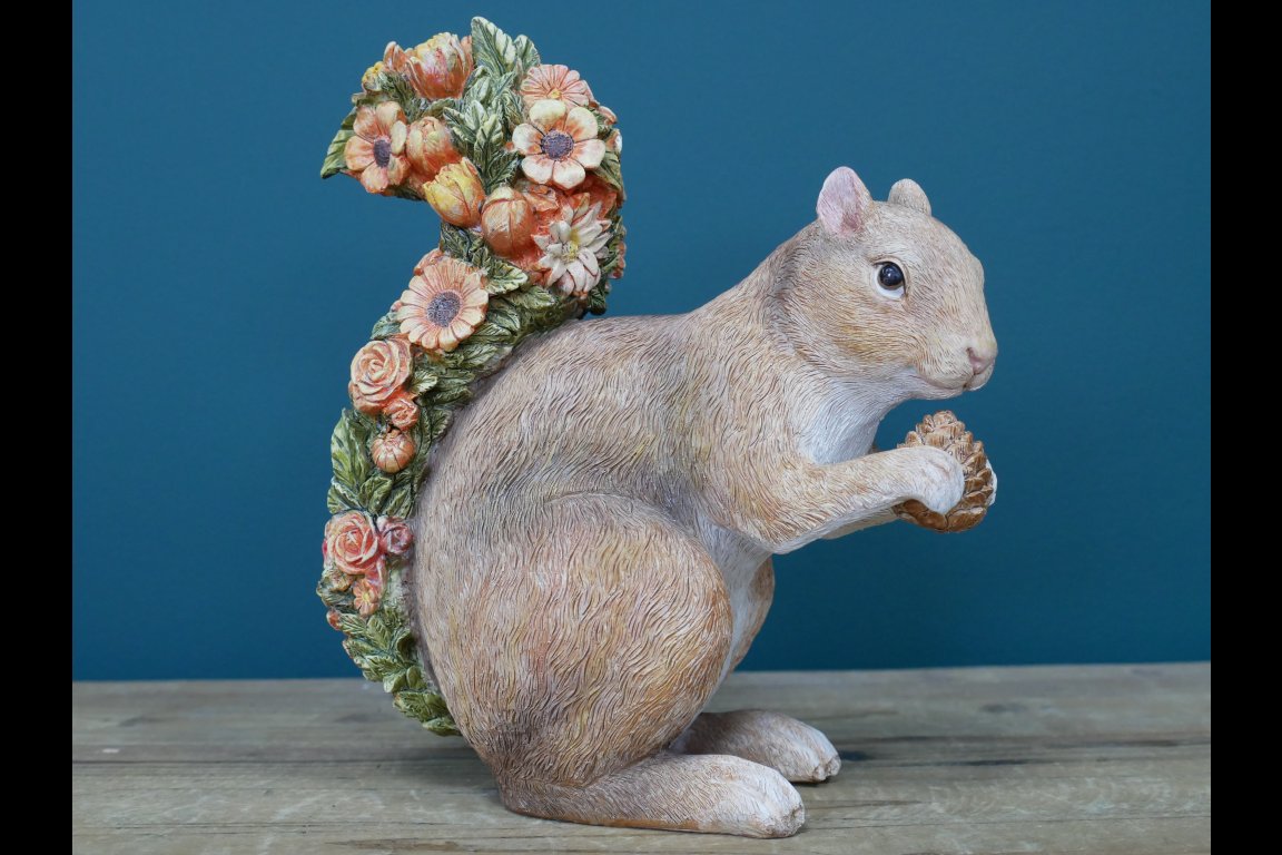 Squirrel