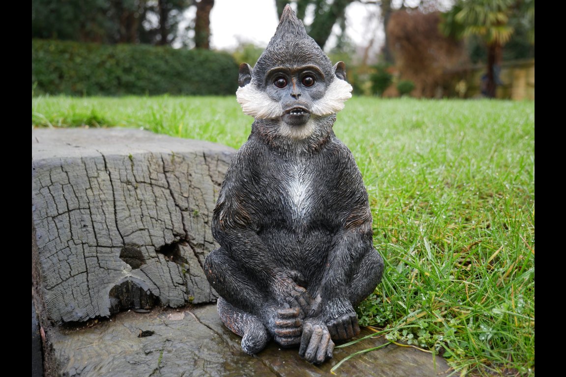 Bearded Monkey