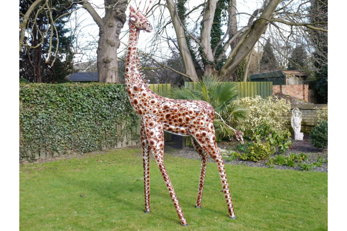 Giraffe Medium