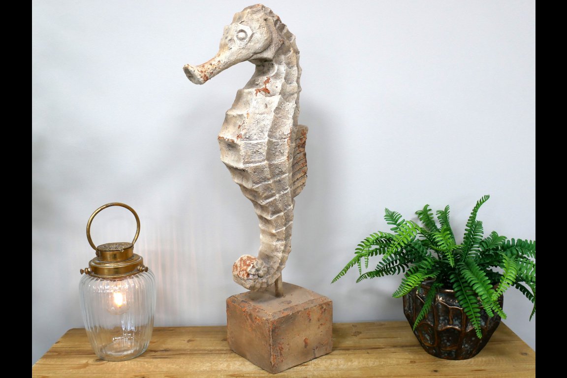 Seahorse