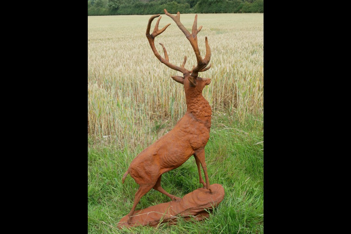 Rusty Stag