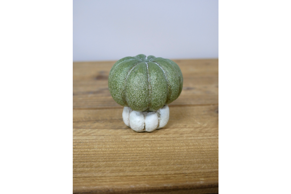 Small Pumpkin