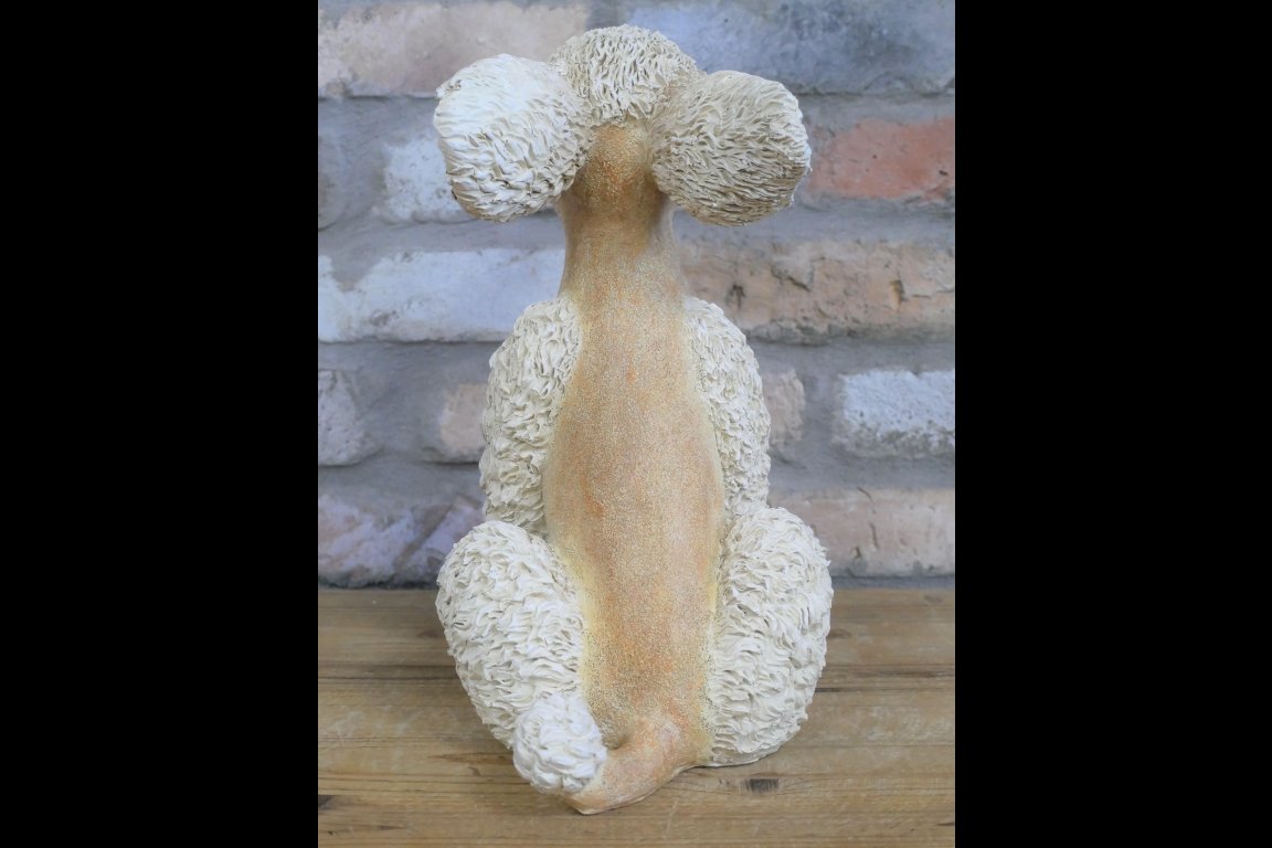 Poodle
