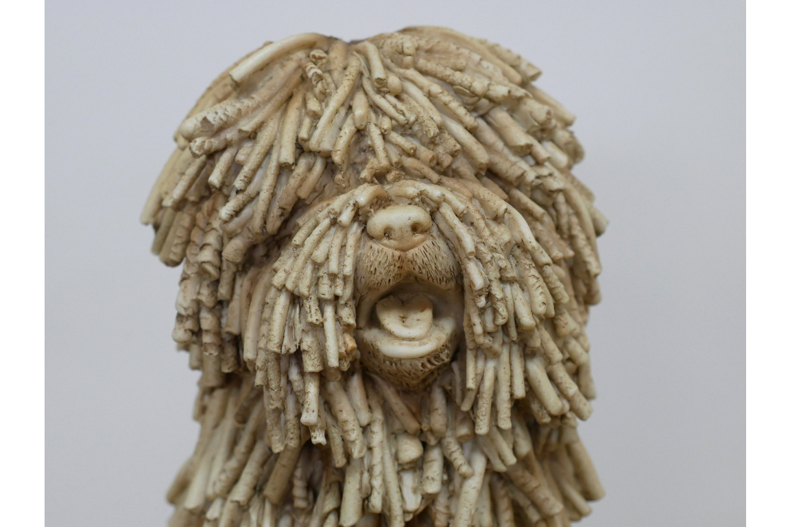 Sitting Shaggy Dog