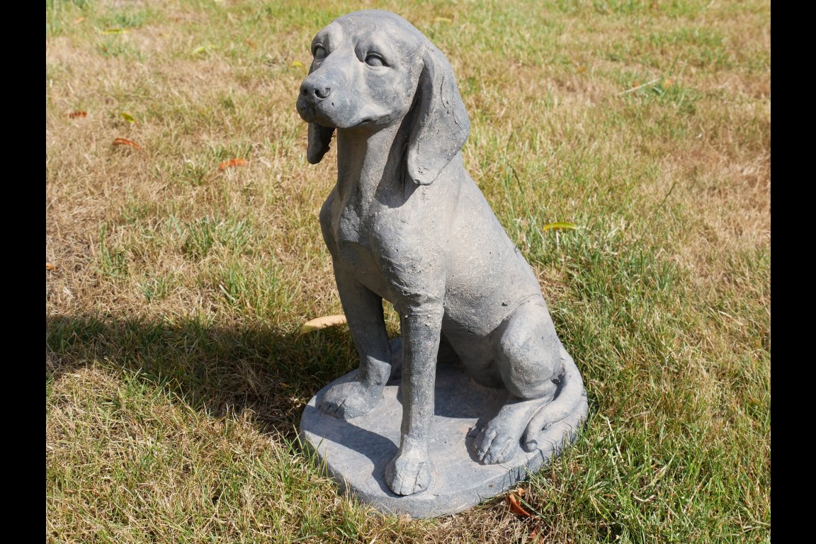 Sitting Dog