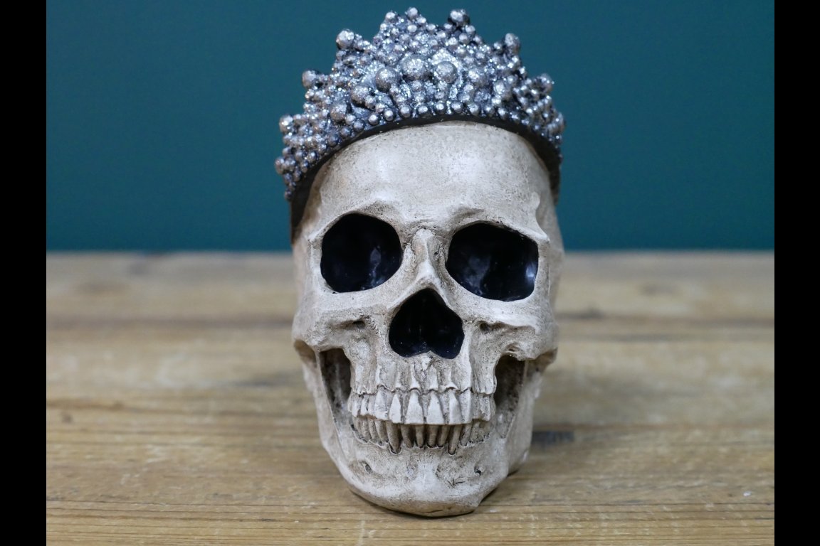 Skull Decoration