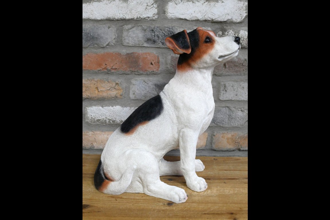 Jack Russell