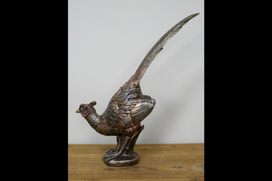 Pheasant