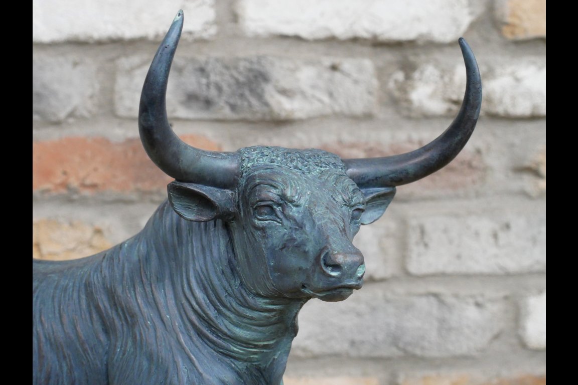 Bull