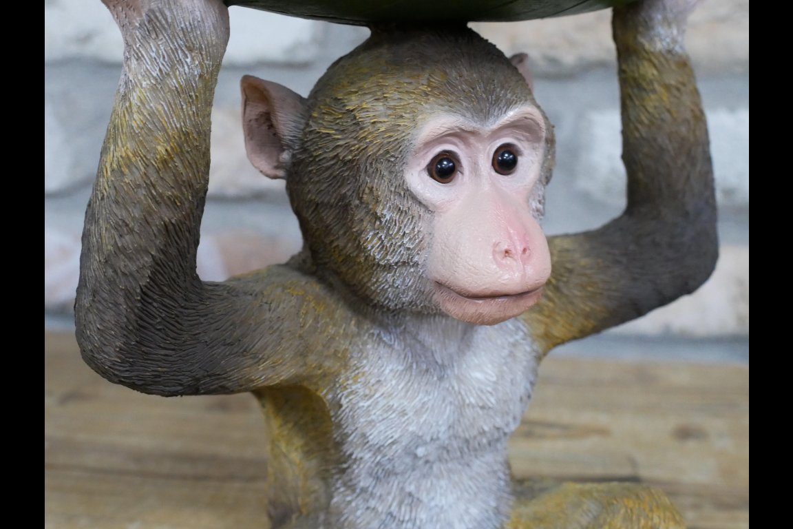 Monkey Leaf Dish