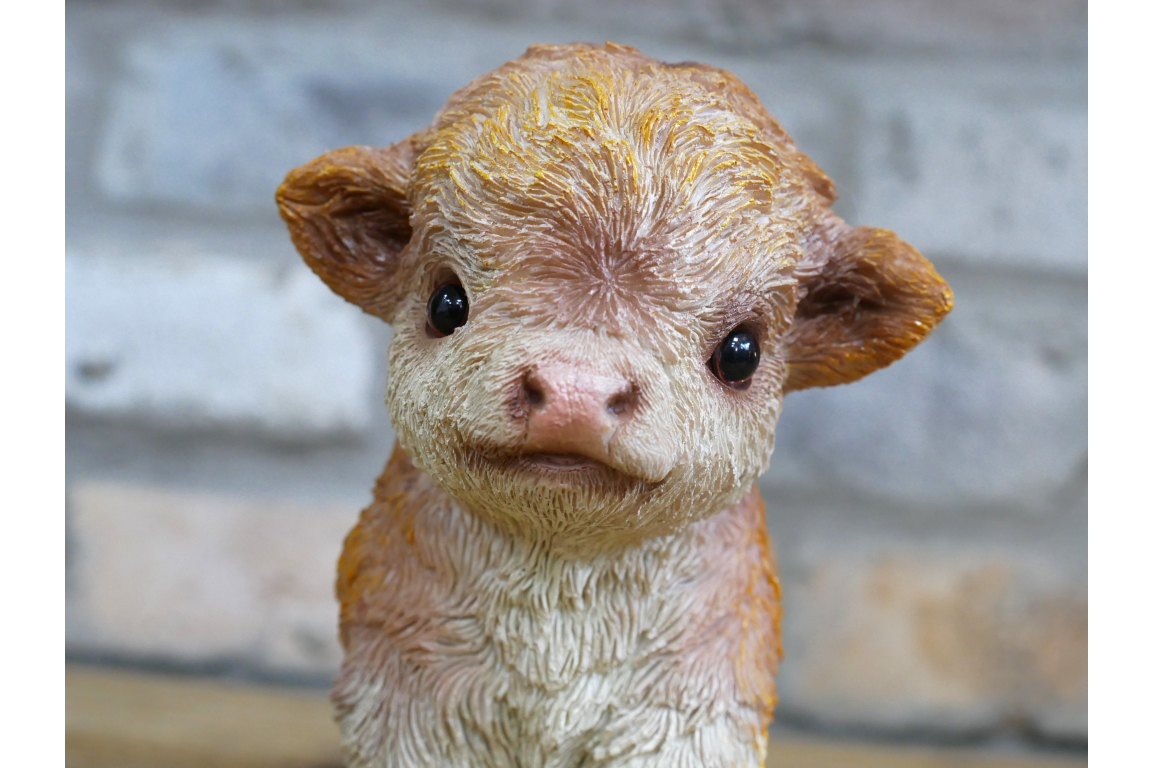 Tiny Baby Cow