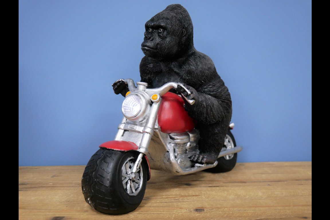 Gorilla On Motorbike With Light