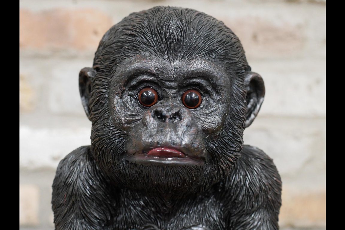 Baby Gorilla