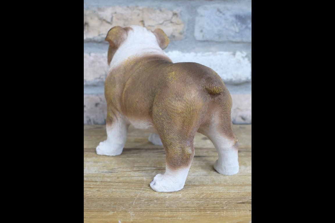 Bulldog