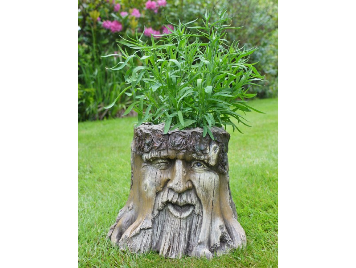 Tree Stump Planter