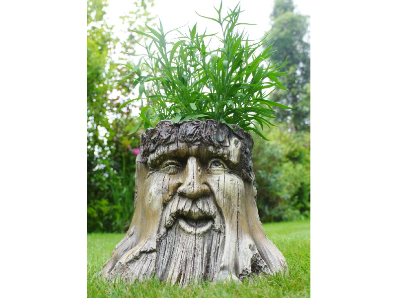 Tree Stump Planter