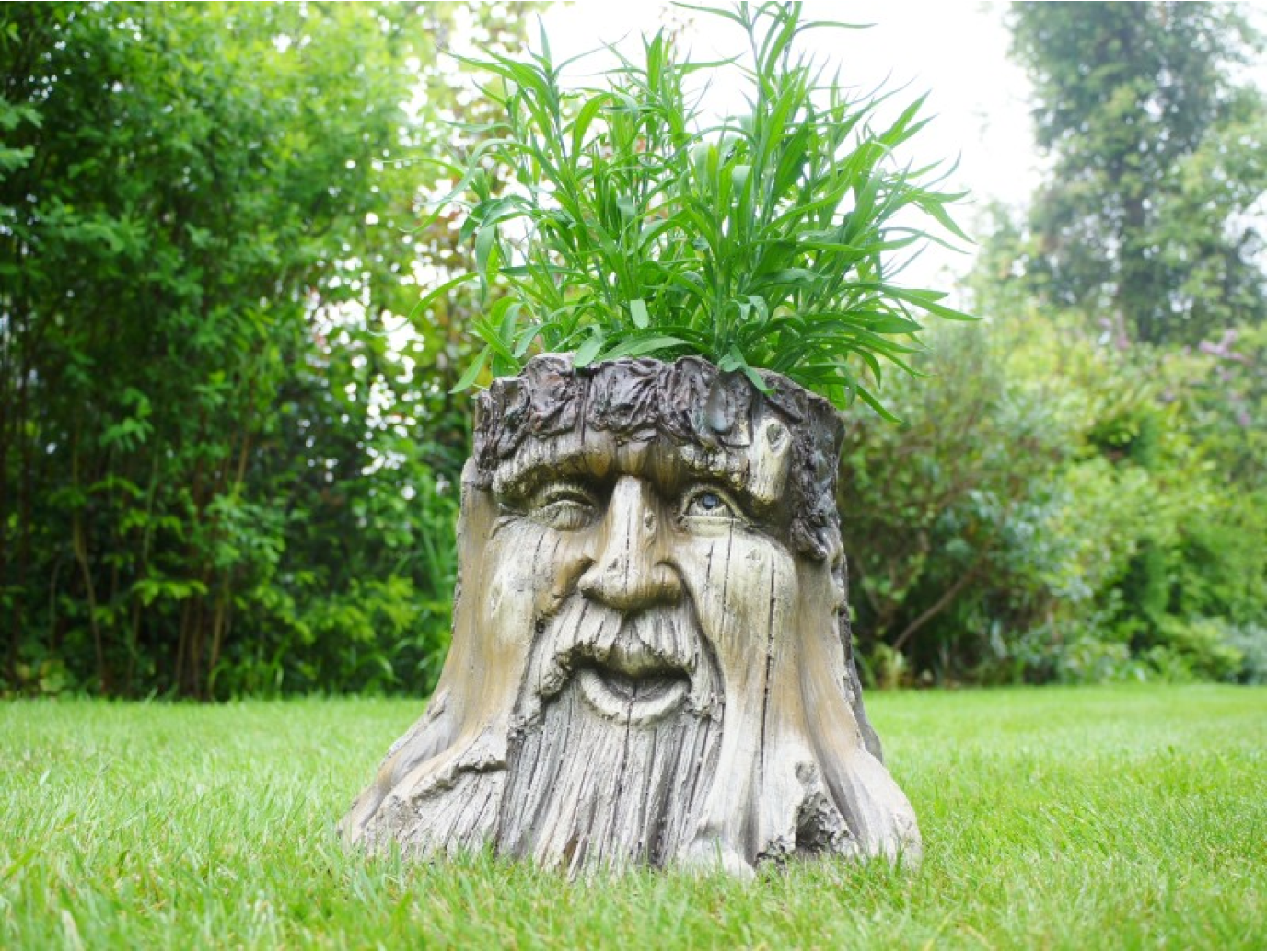 Tree Stump Planter