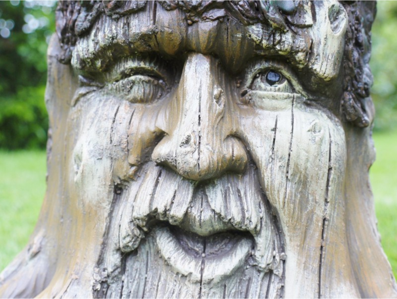 Tree Stump Planter