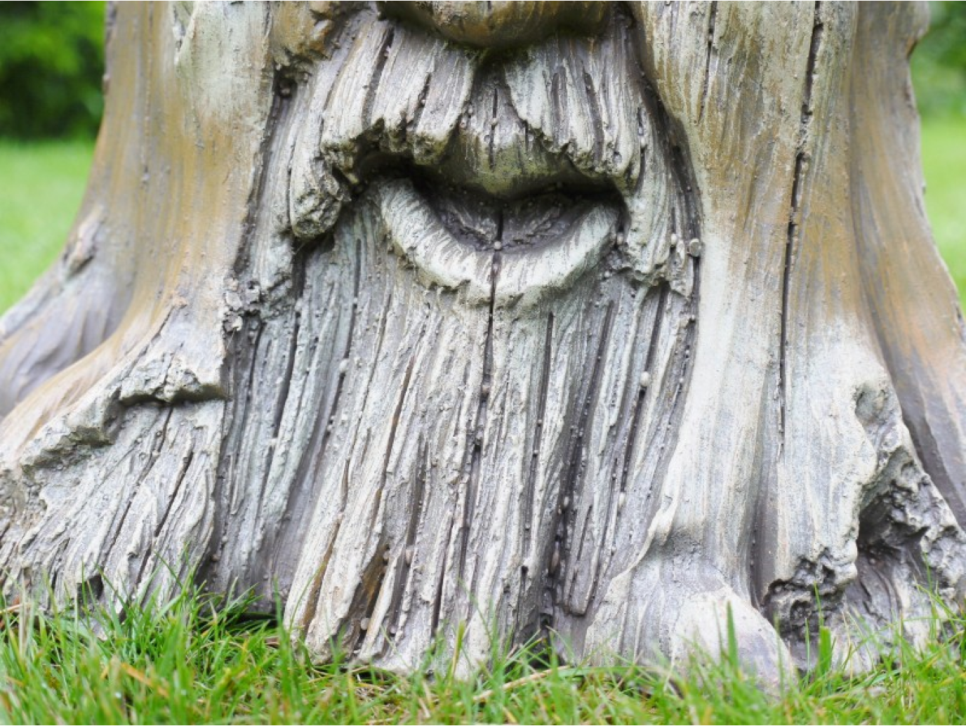 Tree Stump Planter