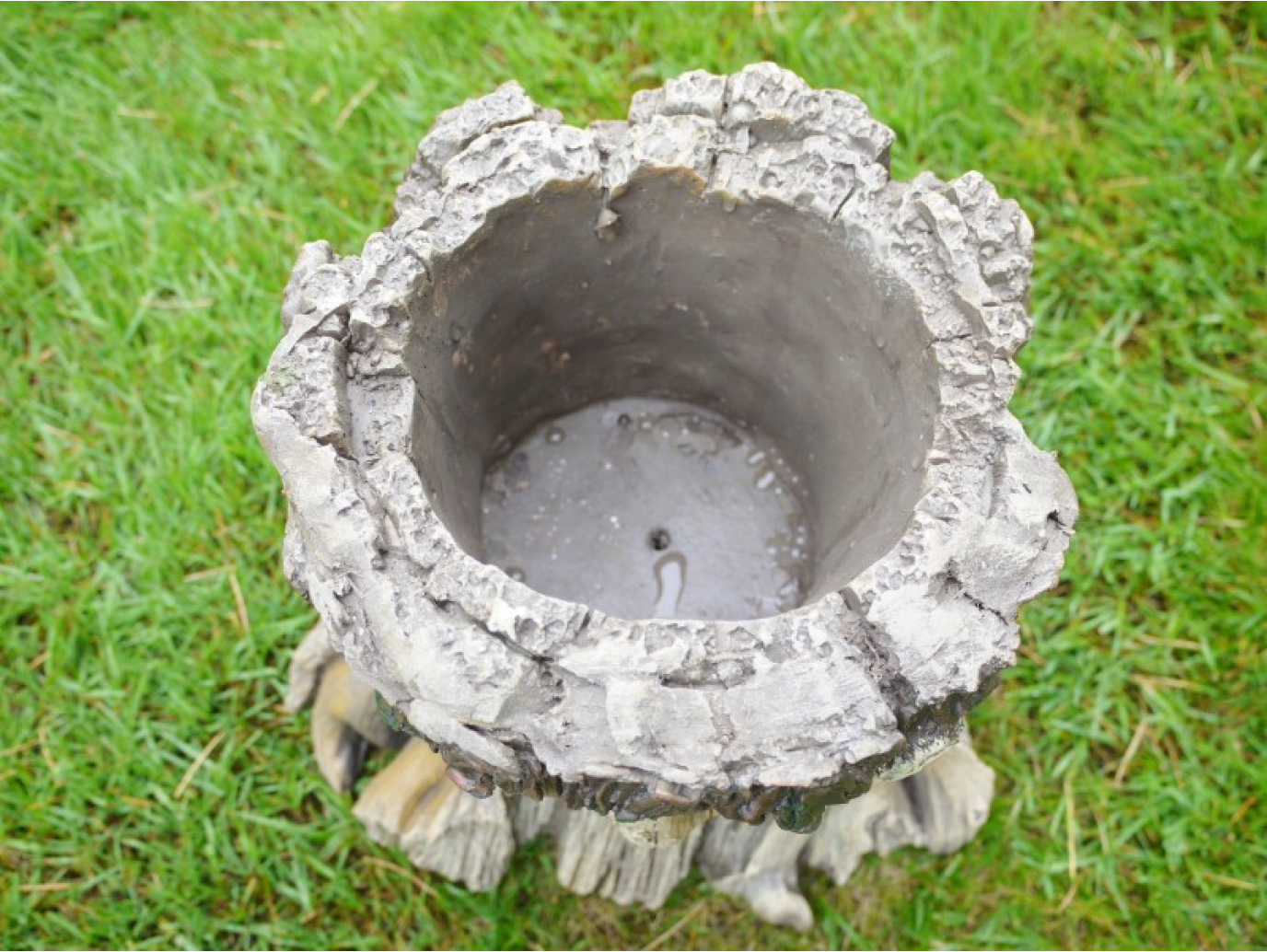 Tree Stump Planter
