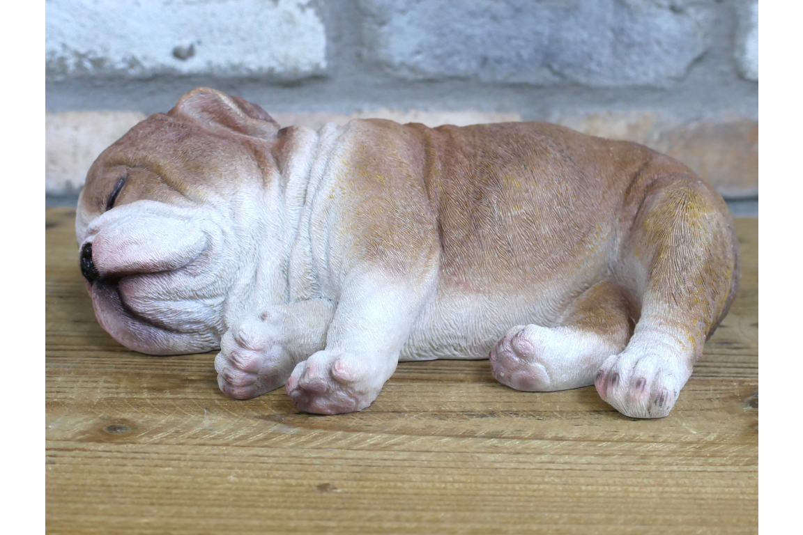 Sleeping Bulldog
