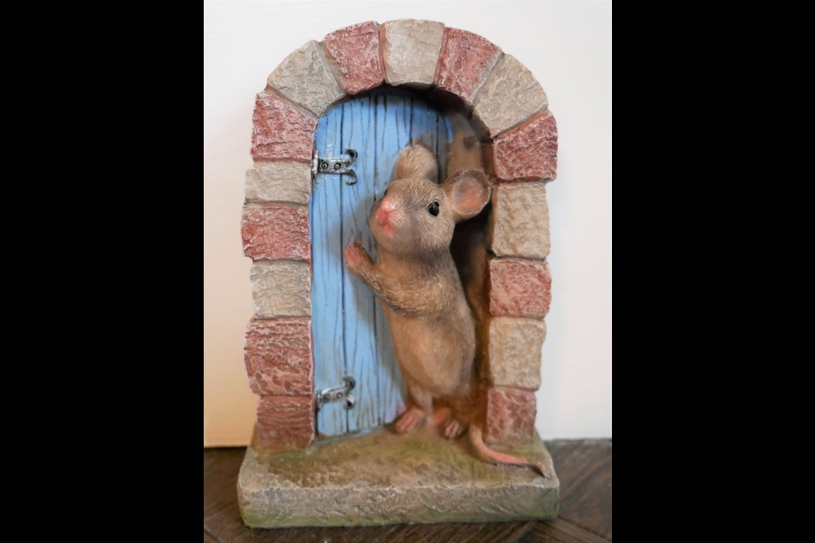 Mouse Door