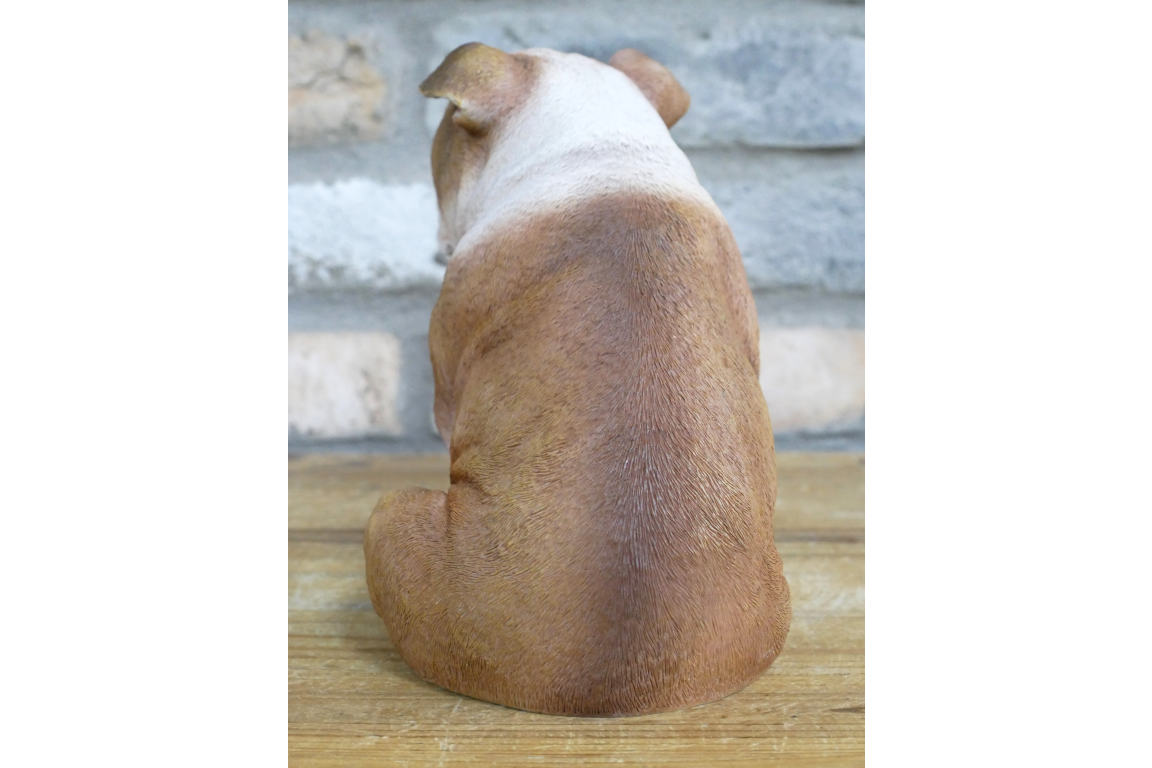 Bulldog