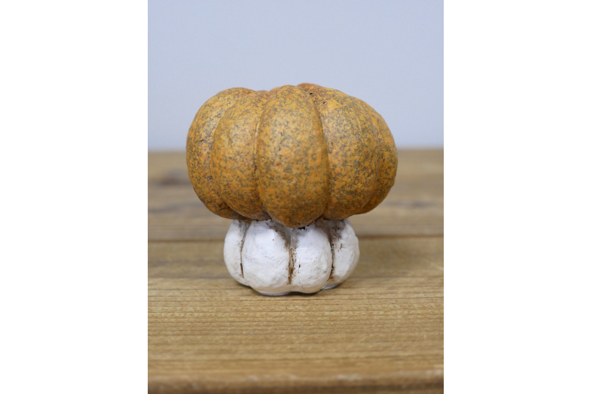Small Pumpkin