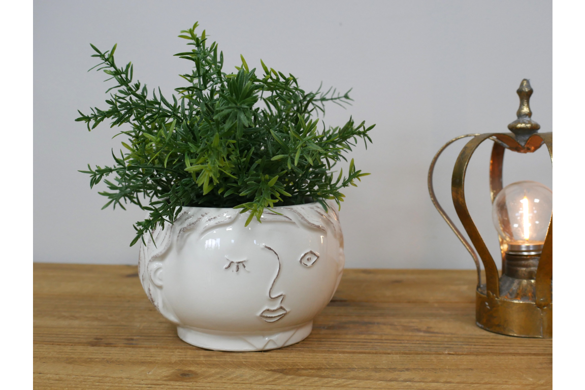 Face Vase
