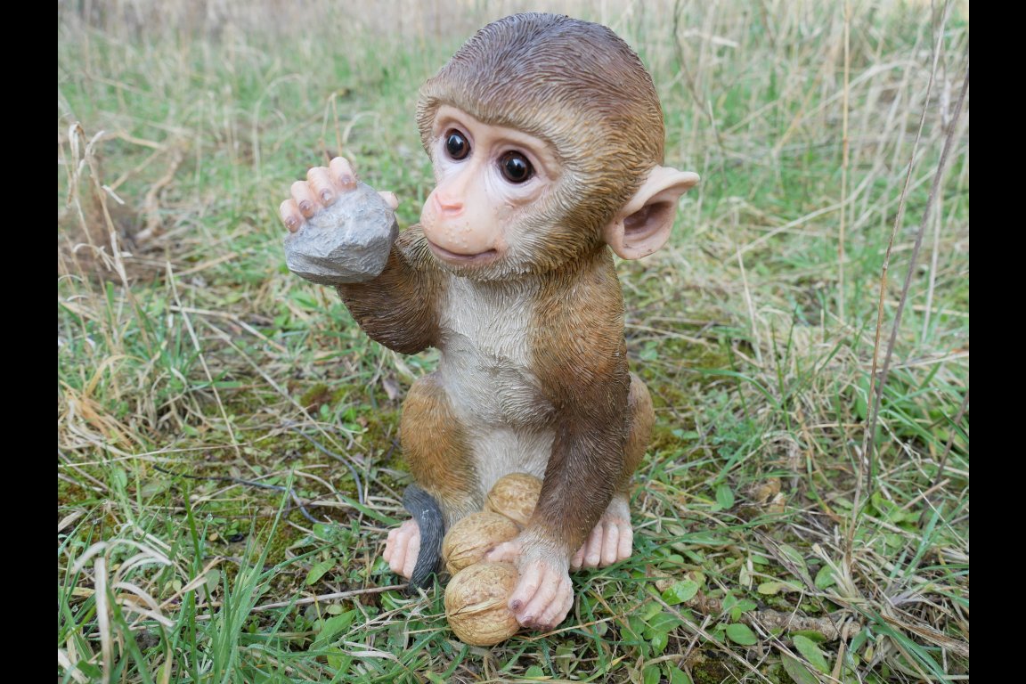 Monkey