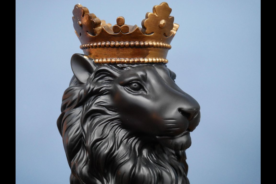 Lion With Crown