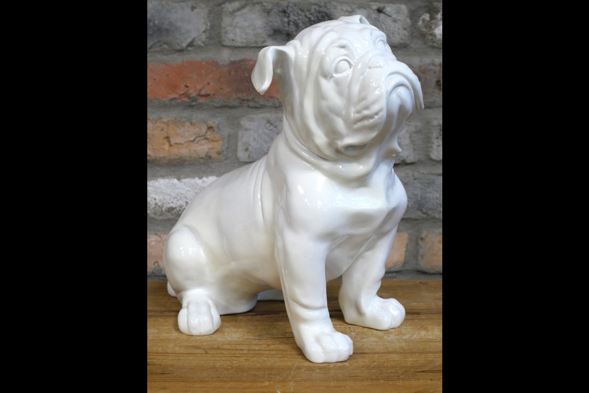 White Bulldog