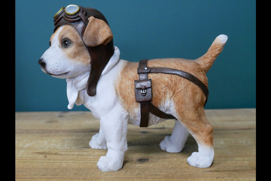 Pilot Dog