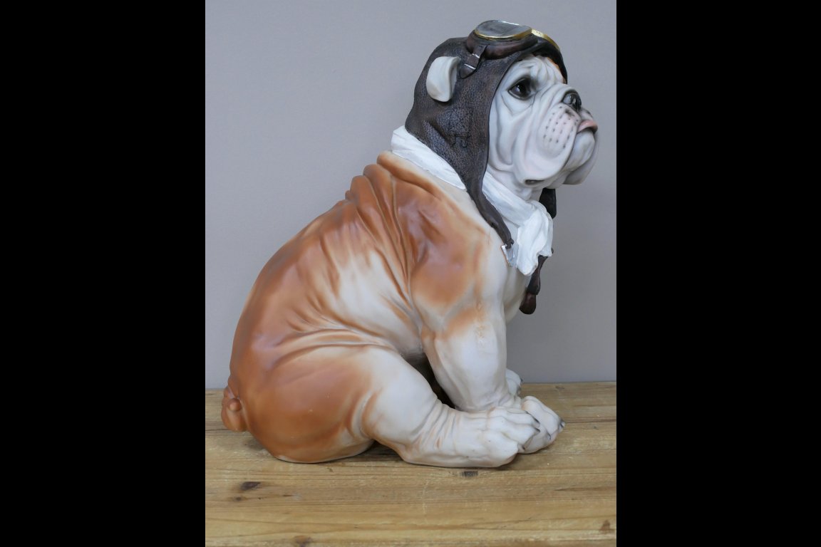 Large Pilot Dog