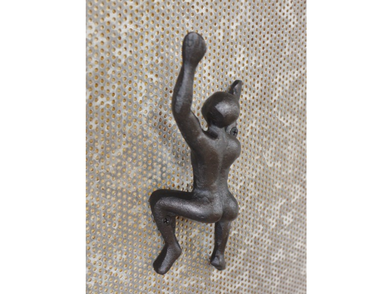 Coat Hook